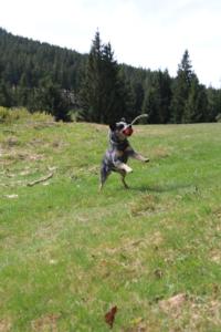 2018 Ausbildungswoche Arber